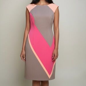 Maggy London Taupe Dress with Pink and Peach Colorblock V